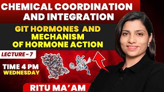 GIT Hormones and Mechanism of Hormone Action  Chemical Coordination and Integration Ritu Rattewal [upl. by Husein445]