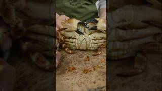 Ways to Cook Cromer Crabs 🦀 [upl. by Blas]