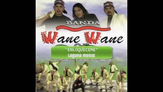 Banda Wane Wane  Enloqueceme AUDIO [upl. by Navonoj55]