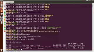 Trimmomatic with Slurm [upl. by Erbua]