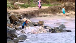 Dead Whale Towed Out To Sea [upl. by Kendrah]