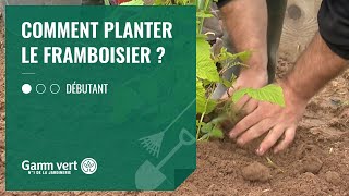 TUTO Comment planter un framboisier   Jardinerie Gamm vert [upl. by Ahsaz]