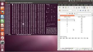 Ubuntu 1204 Forensics  ASCII to Hexadecimal Conversion [upl. by Cindi]