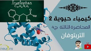 كيمياء حيوية 2  استقلاب البروتينات المحاضرة الثالثة ج4 والأخير استقلاب التربتوفان [upl. by Chalmers724]