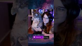 Was im Gesicht🥲 twitchdeutschland gaming twitchclips katze cat fortnite funny stream [upl. by Hawthorn650]