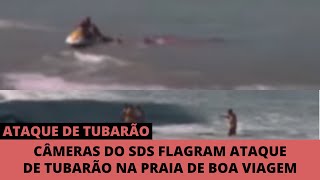 Ataque Real De Tubarão Na Praia De Boa Viagem Recife [upl. by Sluiter722]