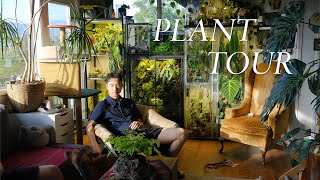 Inside JiaHao’s Plantfilled Home  houseplant collection [upl. by Breban]