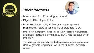 Focus on Bifidobacterium [upl. by Arotahs]