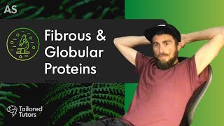 Fibrous amp Globular Proteins  A Level Tutorial [upl. by Yasmar]