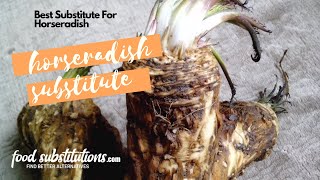 Horseradish Substitute  Replacement And Alternatives For Horseradish [upl. by Barnabe416]