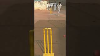 cricket khelne ke maje maje ytshorts shortsvideo lovetop status ytshorts cricketlover india [upl. by Blaire]