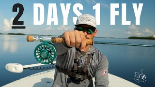 2 Days Fly Fishing the Florida Backcountry [upl. by Alasteir]