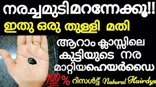 നരച്ചമുടികറുപ്പിക്കാൻഇതൊരുതുള്ളിമതി മുടികാട്പോലെവളരുംNatural hair dyehome remedy for grayhair [upl. by Eelrak]