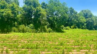 Parcels 1 amp 2 Three Hollow Rd  64 ACRES FOR SALE  Ground Footage [upl. by Sueddaht]