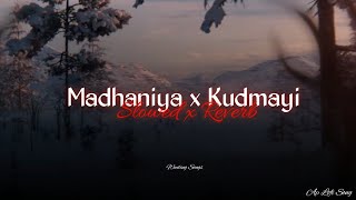 MADHANIYA x KUDMAYI x Zaalima x Aaj Sajeya x Mast Magan Slowed x Reverb  Instagram Viral Songs [upl. by Iva]