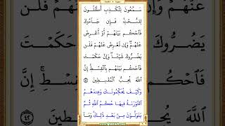 4918th video vertical  Quran Page 115  Saad AlGhamdi quran shorts holyquran recitation [upl. by Eninahpets691]