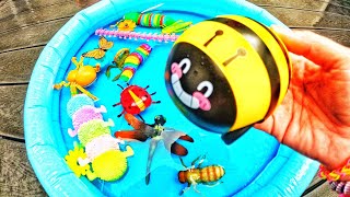 Learn Bugs Insects Names for Babies Toddlers Preschoolers Kids Caterpillar Mosquito Spider [upl. by Lauro334]