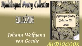 Erlkönig Johann Wolfgang von Goethe Audiobook Poetry [upl. by Elodie]