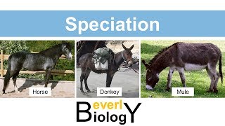 Species and Speciation updated [upl. by Taryne]