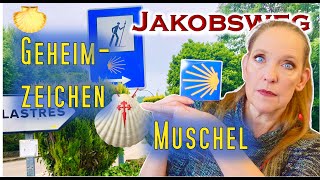 Welche BEDEUTUNG hat die JAKOBSMUSCHEL 🐚Serie ➡Was man wissen muss  100 Fragen zum Jakobsweg [upl. by Brandais]