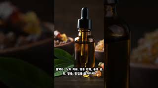 고대부터 사용된 몰약 그 효능은 Myrrh Used Since Ancient Times What are the Benefits [upl. by Tris]