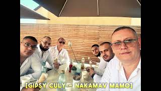 Gipsy Culy  Nakamav mamo 2024 🎙🎶🎹 [upl. by Alsworth]