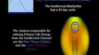 Biorhythms part 1 [upl. by Sam]