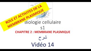 biologie cellulaire s1 vidéo 014  la membrane plasmique شرح [upl. by Bowers]