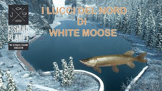 Fishing Planet I Lucci del Nord di White Moose [upl. by Giorgi799]