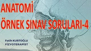 4 Anatomi Öğreten Örnek Sınav Soruları  ÖnlisansLisans [upl. by Akina783]