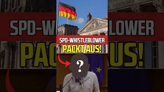 ExBundestagsAbgeordneter packt aus [upl. by Dnomzed]