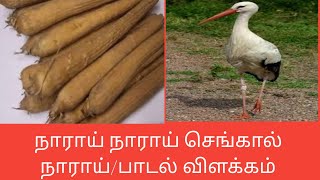 நாராய் நாராய் செங்கால் நாராய்சத்திமுத்தப் புலவர்Narai naraiதமிழ்கணேஷ் [upl. by Leerzej]