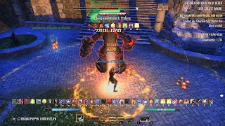 Eso  Magicka Templar 1252k PvE Dps Build PS5  U41 Scions of Ithelia [upl. by Elwee]