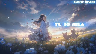 Tu Jo Mila  Slowed Reverb  Movdox [upl. by Yennor]