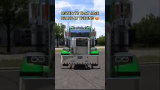 American Truck Simulator Pete 379 Heavy Hauling [upl. by Oluap]