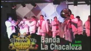 BANDA LA CHACALOSA [upl. by Yonina860]