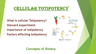 Cellular Totipotency in Plant Tissue Culture Steward experiment UrduHindi Concepts of Botany [upl. by Shakti]