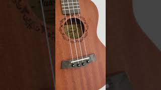 juarez concert size ukulele review better than kala or kadence  ukulelereview ukulele shorts [upl. by Maccarone785]