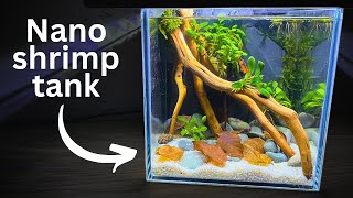 Easy Nano Shrimp tank Stepbystep tutorial for beginners [upl. by Rocco]