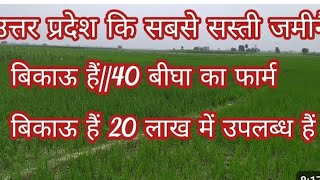 40 बीघा जमीन बिकाऊ है। आपके बजट में। agriculture land for sale [upl. by Viquelia737]