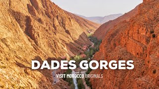 Drive Down the Winding Roads of Dades Gorges [upl. by Ahtaga]