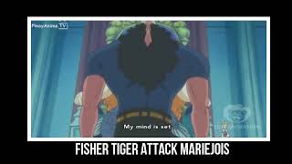 Fisher tiger attack mariejois and create sun pirates [upl. by Lladnor]