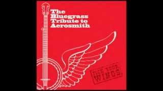 Adams Apple  The Bluegrass Tribute to Aerosmith Pick Your Wings [upl. by Kared]