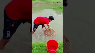 fishing maser funnyanimal fish masera funnyfish funny villagefishinglife funnypet [upl. by Utir]