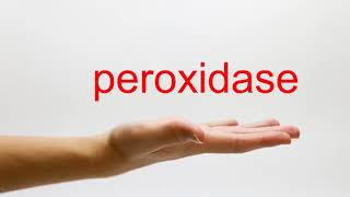 How to Pronounce peroxidase  American English [upl. by Loredana]