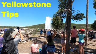 Dont Miss This in Yellowstone National Park [upl. by Concoff]