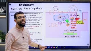 CVS 4 Contractility Part 1 [upl. by Nert]