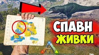 СПАВН ЖИВКИ на Lost Island в ARK  Координаты ОСНОВНЫХ ДИНОЗАВРОВ в АРК на Лост Айленд [upl. by Bittencourt861]