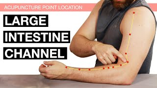 Acupuncture Point Location The Large Intestine Channel Large Intestine Meridian [upl. by Meehyr]