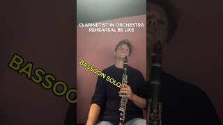 POV Clarinetist in Orchestra Rehearsal clarinet [upl. by Arikal131]